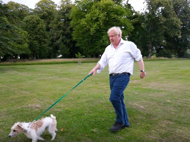 Boris Johnson: could he really be a champion for public health?