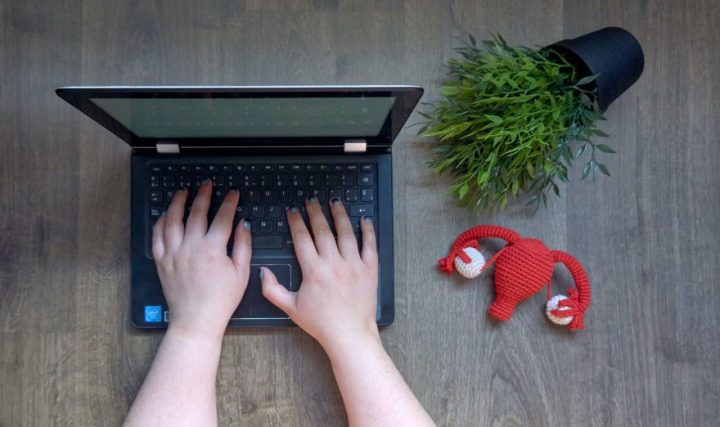 Person typing on computer. Plant and knitted wool shaped like a uterus also sit on the table.