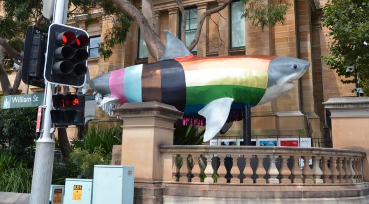 Australia has a long way to go to achieve health equity for LGBTQIA+ people, conference told