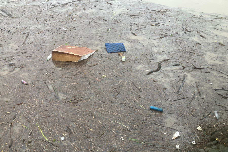 Climate action can brighten our future