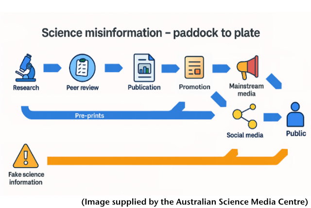 Seven reflections on the threat of misinformation